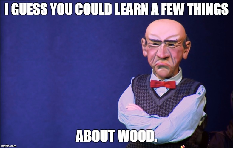 I GUESS YOU COULD LEARN A FEW THINGS ABOUT WOOD. | made w/ Imgflip meme maker
