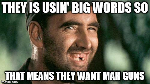 THEY IS USIN' BIG WORDS SO THAT MEANS THEY WANT MAH GUNS | made w/ Imgflip meme maker