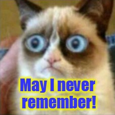May I never remember! | made w/ Imgflip meme maker