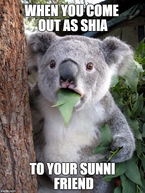 Surprised Koala | WHEN YOU COME OUT AS SHIA; TO YOUR SUNNI FRIEND | image tagged in memes,surprised koala | made w/ Imgflip meme maker