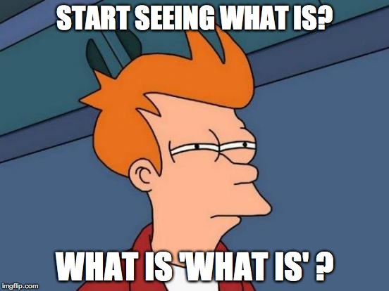 Futurama Fry Meme | START SEEING WHAT IS? WHAT IS 'WHAT IS' ? | image tagged in memes,futurama fry | made w/ Imgflip meme maker