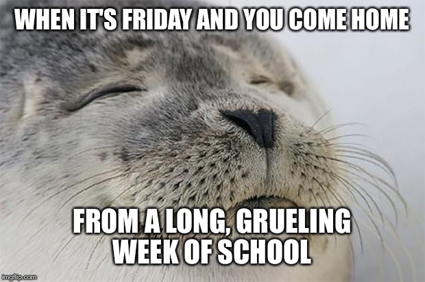 Anyone else? | WHEN IT'S FRIDAY AND YOU COME HOME; FROM A LONG, GRUELING WEEK OF SCHOOL | image tagged in memes,satisfied seal | made w/ Imgflip meme maker
