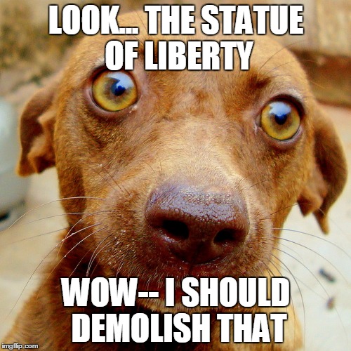Wow-Dog | LOOK... THE STATUE OF LIBERTY; WOW-- I SHOULD DEMOLISH THAT | image tagged in wow-dog | made w/ Imgflip meme maker