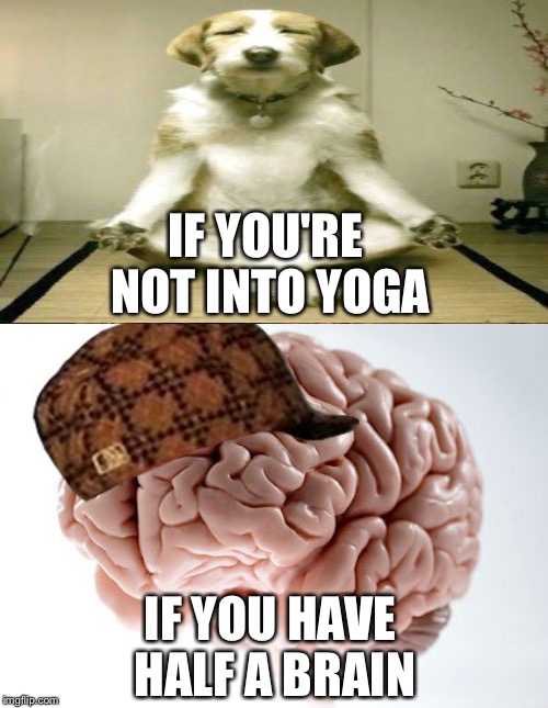 IF YOU'RE NOT INTO YOGA IF YOU HAVE HALF A BRAIN | made w/ Imgflip meme maker