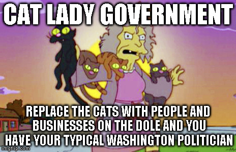 cat lady votes for clinton | CAT LADY GOVERNMENT; REPLACE THE CATS WITH PEOPLE AND BUSINESSES ON THE DOLE AND YOU HAVE YOUR TYPICAL WASHINGTON POLITICIAN | image tagged in cat lady votes for clinton | made w/ Imgflip meme maker