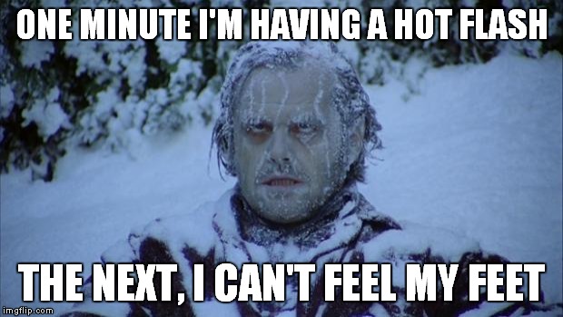 Cold | ONE MINUTE I'M HAVING A HOT FLASH; THE NEXT, I CAN'T FEEL MY FEET | image tagged in cold | made w/ Imgflip meme maker