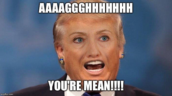 Trumplary | AAAAGGGHHHHHHH YOU'RE MEAN!!!! | image tagged in trumplary | made w/ Imgflip meme maker