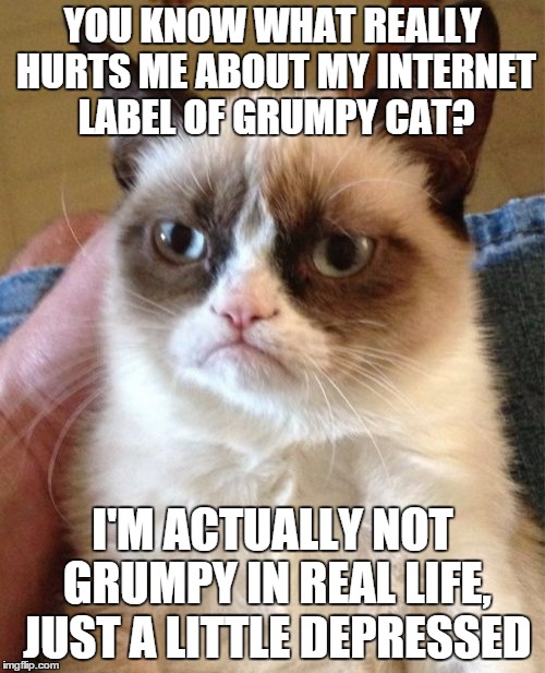 depressed | YOU KNOW WHAT REALLY HURTS ME ABOUT MY INTERNET LABEL OF GRUMPY CAT? I'M ACTUALLY NOT GRUMPY IN REAL LIFE, JUST A LITTLE DEPRESSED | image tagged in memes,grumpy cat | made w/ Imgflip meme maker