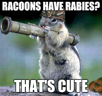 Bazooka Squirrel | RACOONS HAVE RABIES? THAT'S CUTE | image tagged in memes,bazooka squirrel | made w/ Imgflip meme maker