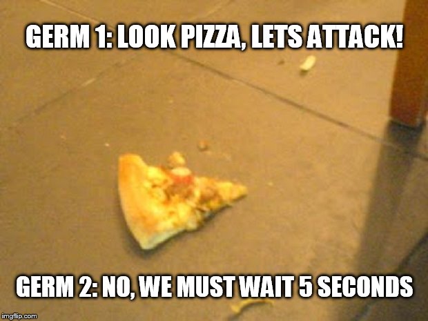 GERM 1: LOOK PIZZA, LETS ATTACK! GERM 2: NO, WE MUST WAIT 5 SECONDS | image tagged in pizza,5 second rule | made w/ Imgflip meme maker