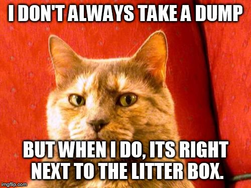 Surprise, human! |  I DON'T ALWAYS TAKE A DUMP; BUT WHEN I DO, ITS RIGHT NEXT TO THE LITTER BOX. | image tagged in memes,suspicious cat | made w/ Imgflip meme maker