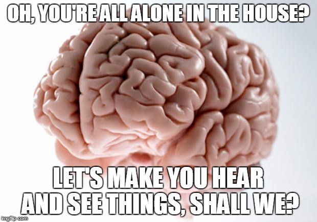 Scumbag Brain | OH, YOU'RE ALL ALONE IN THE HOUSE? LET'S MAKE YOU HEAR AND SEE THINGS, SHALL WE? | image tagged in scumbag brain | made w/ Imgflip meme maker