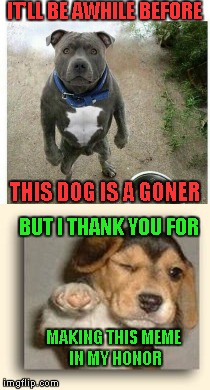 IT'LL BE AWHILE BEFORE THIS DOG IS A GONER BUT I THANK YOU FOR MAKING THIS MEME IN MY HONOR | made w/ Imgflip meme maker