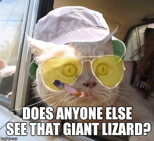 DOES ANYONE ELSE SEE THAT GIANT LIZARD? | made w/ Imgflip meme maker
