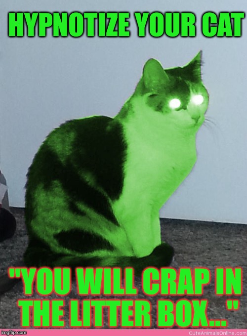 Hypno Raycat | HYPNOTIZE YOUR CAT "YOU WILL CRAP IN THE LITTER BOX..." | image tagged in hypno raycat | made w/ Imgflip meme maker