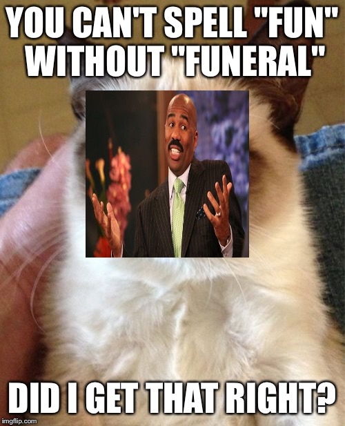 Grumpy Cat Meme | YOU CAN'T SPELL "FUN" WITHOUT "FUNERAL" DID I GET THAT RIGHT? | image tagged in memes,grumpy cat | made w/ Imgflip meme maker
