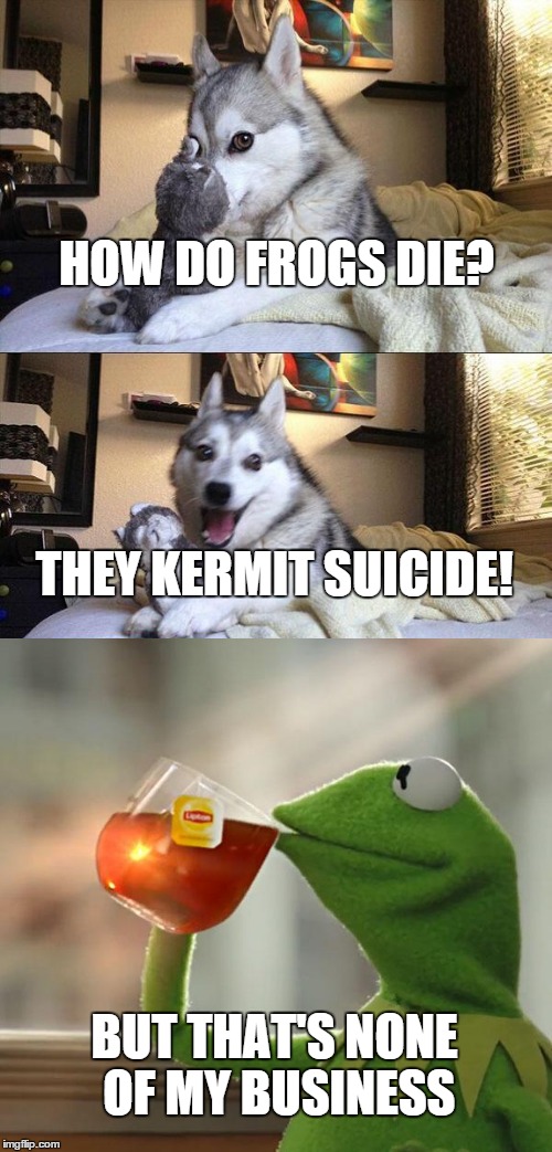 Bad Pun Dog | HOW DO FROGS DIE? THEY KERMIT SUICIDE! BUT THAT'S NONE OF MY BUSINESS | image tagged in memes,bad pun dog | made w/ Imgflip meme maker