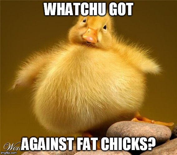 WHATCHU GOT AGAINST FAT CHICKS? | made w/ Imgflip meme maker