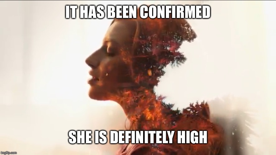 We were all wondering.  | IT HAS BEEN CONFIRMED; SHE IS DEFINITELY HIGH | image tagged in glade candle,high | made w/ Imgflip meme maker