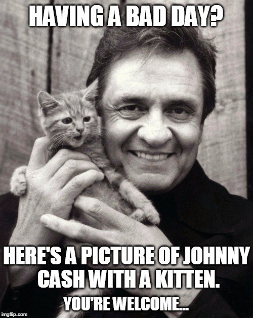 You're Welcome... | HAVING A BAD DAY? HERE'S A PICTURE OF JOHNNY CASH WITH A KITTEN. YOU'RE WELCOME... | image tagged in fun,johnny cash | made w/ Imgflip meme maker