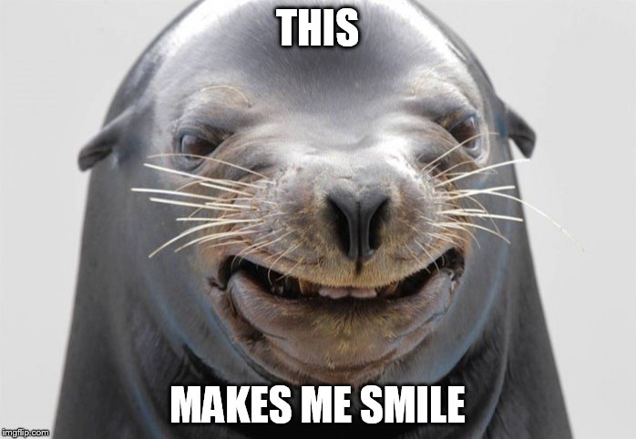 happy seal | THIS MAKES ME SMILE | image tagged in happy seal | made w/ Imgflip meme maker