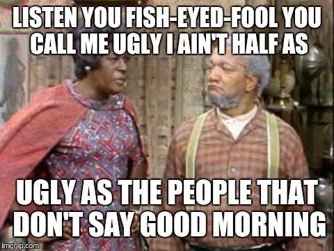 LISTEN YOU FISH-EYED-FOOL YOU CALL ME UGLY I AIN'T HALF AS; UGLY AS THE PEOPLE THAT DON'T SAY GOOD MORNING | image tagged in aunt esther | made w/ Imgflip meme maker