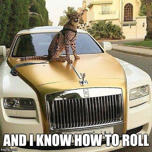 AND I KNOW HOW TO ROLL | made w/ Imgflip meme maker