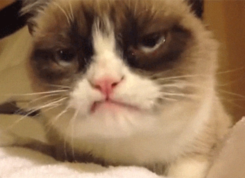 High Quality DISAPPROVING GRUMPY CAT Blank Meme Template