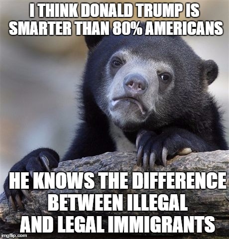 Confession Bear Meme | I THINK DONALD TRUMP IS SMARTER THAN 80% AMERICANS; HE KNOWS THE DIFFERENCE BETWEEN ILLEGAL AND LEGAL IMMIGRANTS | image tagged in memes,confession bear | made w/ Imgflip meme maker