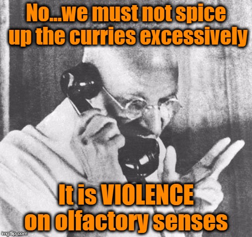 Gandhi | No...we must not spice up the curries excessively; It is VIOLENCE on olfactory senses | image tagged in memes,gandhi | made w/ Imgflip meme maker