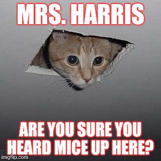 Fluffernutter's extermination company. No more Mr. Mice guy. Adios mouse-chachos. | MRS. HARRIS; ARE YOU SURE YOU HEARD MICE UP HERE? | image tagged in ceiling cat,cat,mouse,mice,funny cat memes,funny memes | made w/ Imgflip meme maker