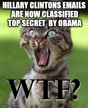 So how  much can one person get away with ? | HILLARY CLINTONS EMAILS ARE NOW CLASSIFIED TOP SECRET  BY OBAMA | image tagged in wtf,cat,memes | made w/ Imgflip meme maker