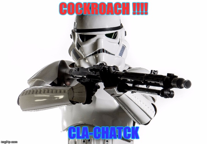 COCKROACH !!!! CLA-CHATCK | image tagged in humor | made w/ Imgflip meme maker