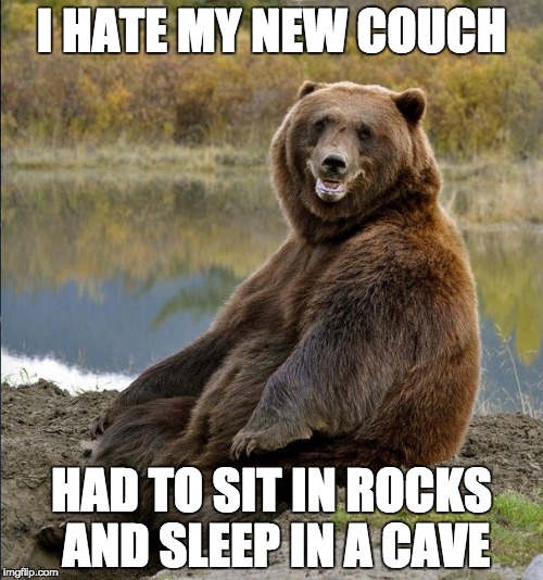 Reality Bear | I HATE MY NEW COUCH; HAD TO SIT IN ROCKS AND SLEEP IN A CAVE | image tagged in reality check,expectation vs reality,bear | made w/ Imgflip meme maker