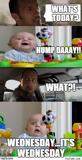 I would react the same way on both sides of that question | WHAT'S TODAY? HUMP DAAAY!! WHAT?! WEDNESDAY...IT'S WEDNESDAY | image tagged in memes,first world problems,the rock driving,say that again i dare you,baby | made w/ Imgflip meme maker