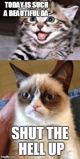 TODAY IS SUCH A BEAUTIFUL DA-; SHUT THE HELL UP | image tagged in grumpy cat,too funny | made w/ Imgflip meme maker