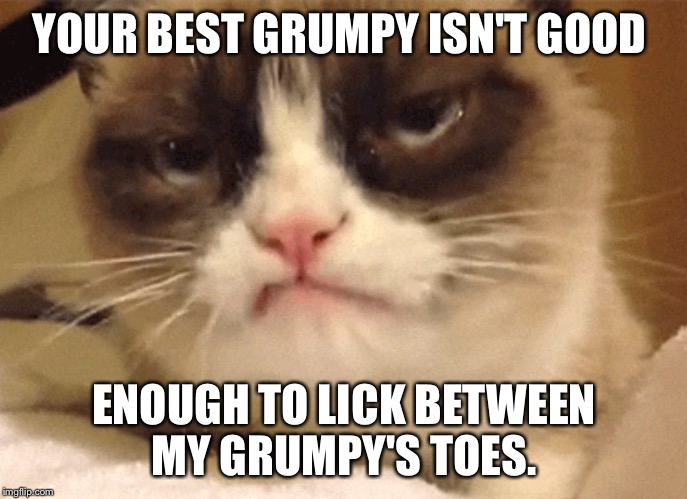 DISAPPROVING GRUMPY CAT |  YOUR BEST GRUMPY ISN'T GOOD; ENOUGH TO LICK BETWEEN MY GRUMPY'S TOES. | image tagged in disapproving grumpy cat | made w/ Imgflip meme maker