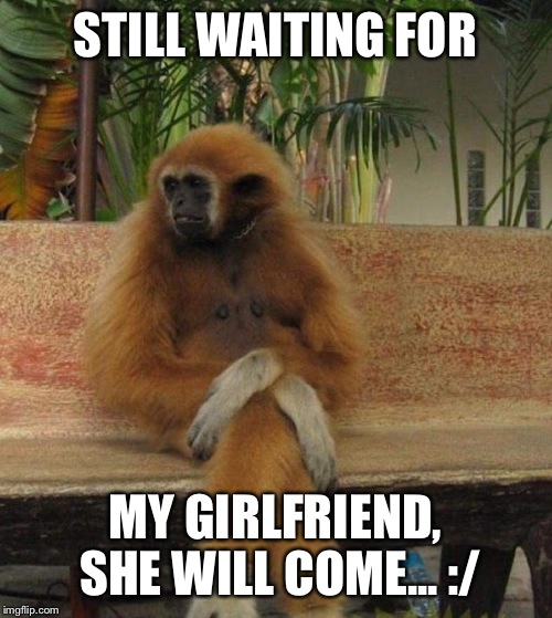 Waiting Monkey | STILL WAITING FOR; MY GIRLFRIEND, SHE WILL COME... :/ | image tagged in waiting monkey,girlfriend,still waiting | made w/ Imgflip meme maker