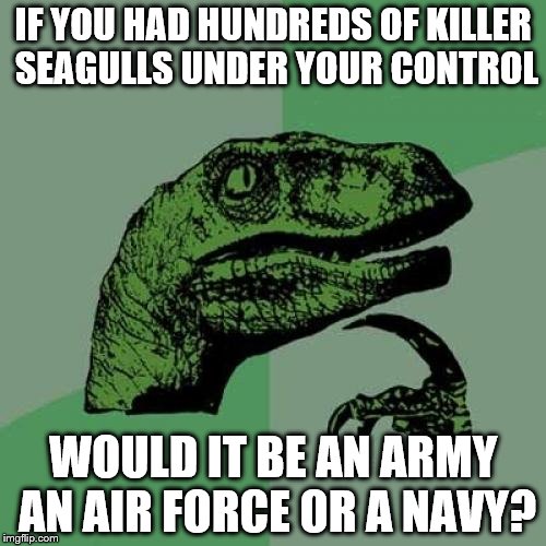 Philosoraptor Meme | IF YOU HAD HUNDREDS OF KILLER SEAGULLS UNDER YOUR CONTROL; WOULD IT BE AN ARMY AN AIR FORCE OR A NAVY? | image tagged in memes,philosoraptor,military,seagulls | made w/ Imgflip meme maker