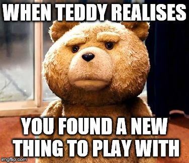 TED Meme | WHEN TEDDY REALISES; YOU FOUND A NEW THING TO PLAY WITH | image tagged in memes,ted | made w/ Imgflip meme maker