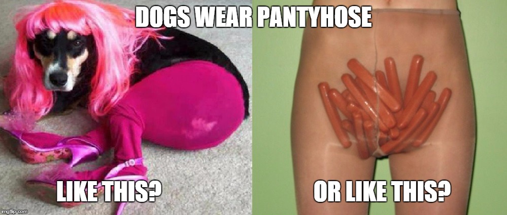 Dogs Pantyhose | DOGS WEAR PANTYHOSE; LIKE THIS?                                  OR LIKE THIS? | image tagged in dogs | made w/ Imgflip meme maker
