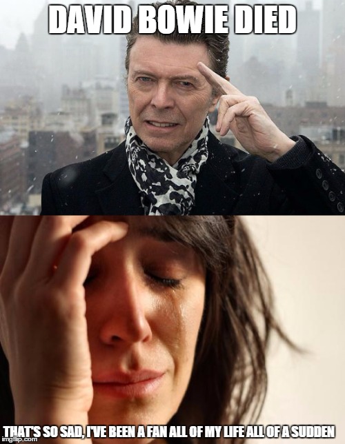 For those who suddenly become fans after the artist dies...My first attempt at this might have been a bit confusing, my bad. | DAVID BOWIE DIED; THAT'S SO SAD, I'VE BEEN A FAN ALL OF MY LIFE ALL OF A SUDDEN | image tagged in david bowie,memes,first world problems | made w/ Imgflip meme maker