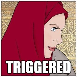 Triggered | TRIGGERED | image tagged in trump,marvel,comics,muslim,white privilege | made w/ Imgflip meme maker