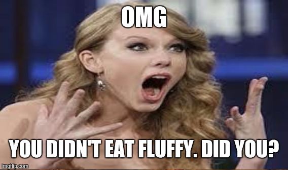 OMG YOU DIDN'T EAT FLUFFY. DID YOU? | made w/ Imgflip meme maker