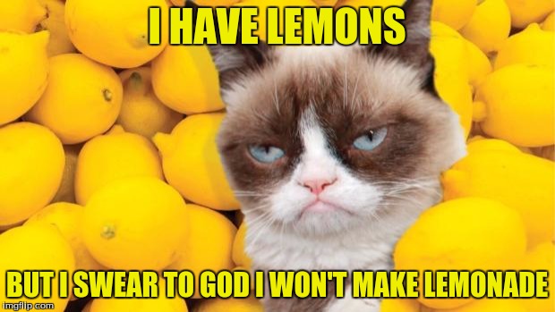 Grumpy Cat lemons | I HAVE LEMONS; BUT I SWEAR TO GOD I WON'T MAKE LEMONADE | image tagged in grumpy cat lemons | made w/ Imgflip meme maker