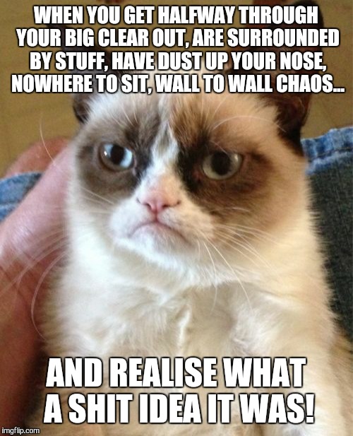 Grumpy Cat | WHEN YOU GET HALFWAY THROUGH YOUR BIG CLEAR OUT, ARE SURROUNDED BY STUFF, HAVE DUST UP YOUR NOSE, NOWHERE TO SIT, WALL TO WALL CHAOS... AND REALISE WHAT A SHIT IDEA IT WAS! | image tagged in memes,grumpy cat | made w/ Imgflip meme maker