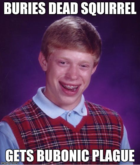 Bad Luck Brian | BURIES DEAD SQUIRREL; GETS BUBONIC PLAGUE | image tagged in memes,bad luck brian | made w/ Imgflip meme maker
