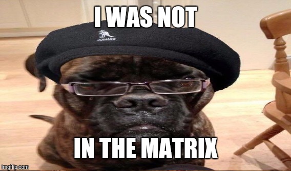 I WAS NOT IN THE MATRIX | made w/ Imgflip meme maker