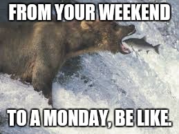 Going into a Monday | FROM YOUR WEEKEND; TO A MONDAY, BE LIKE. | image tagged in funny,mondays,comedy,star wars | made w/ Imgflip meme maker