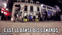 danse  | C'EST LA DANSE DES CANARDS | image tagged in gifs | made w/ Imgflip video-to-gif maker